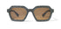 | Sea Green Textured / Brown Polarized