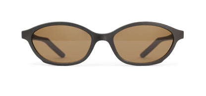 | Graphite / Brown Polarized