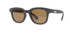 | Graphite / Brown Polarized