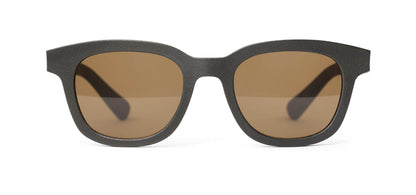 | Graphite / Brown Polarized