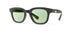 | Graphite / Light Green Non-Polarized