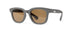 | Slate / Brown Polarized