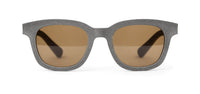 | Slate / Brown Polarized