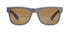 | Slate / Brown Polarized