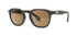 | Graphite / Brown Polarized