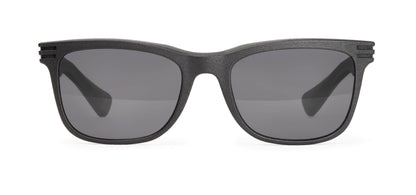 | Graphite / Grey Polarized