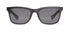 | Graphite / Grey Polarized