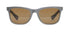 | Slate / Brown Polarized