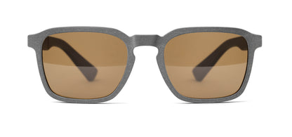 | Slate / Brown Polarized 