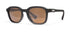 | Graphite / Brown Polarized