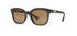| Graphite / Brown Polarized