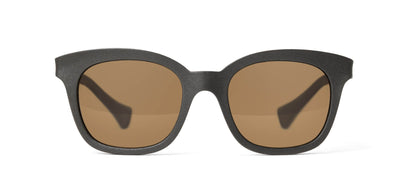 | Graphite / Brown Polarized