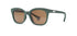 | Sea Green / Brown Polarized