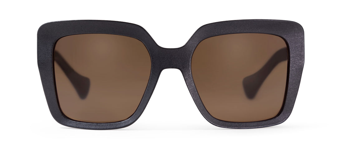 | Graphite / Brown Polarized